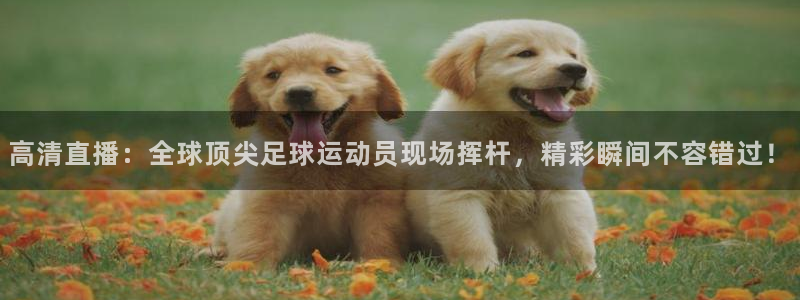 杏悦2登录