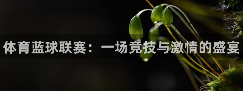 杏悦2平台注册