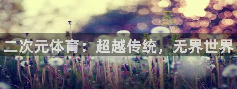 杏悦集团官网