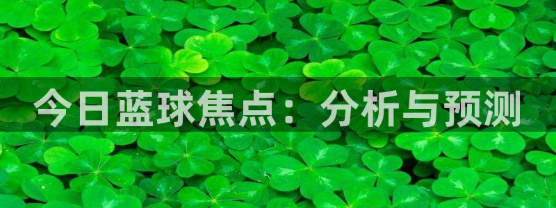 杏悦体育凯捷平台注册