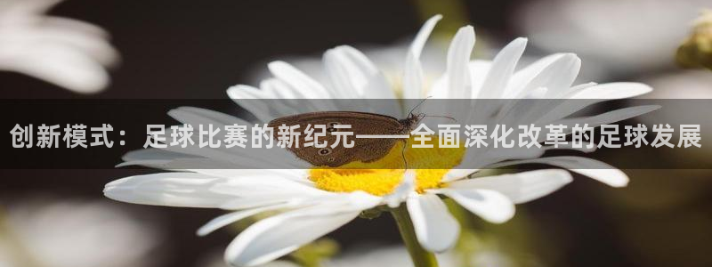 杏悦5注册