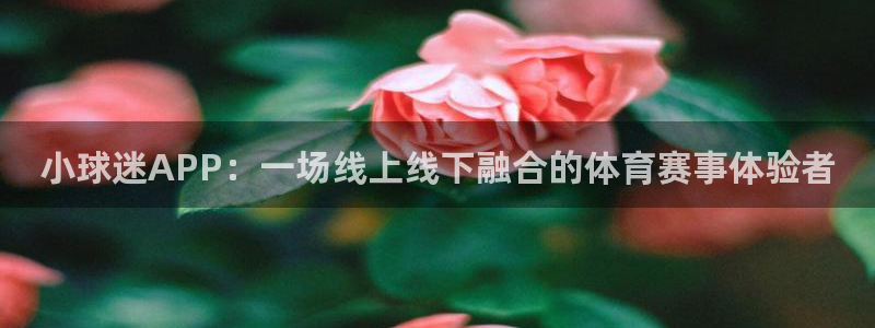 杏悦2平台注册