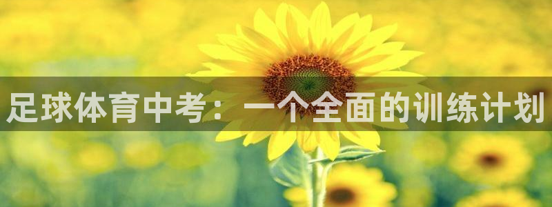 杏悦代理